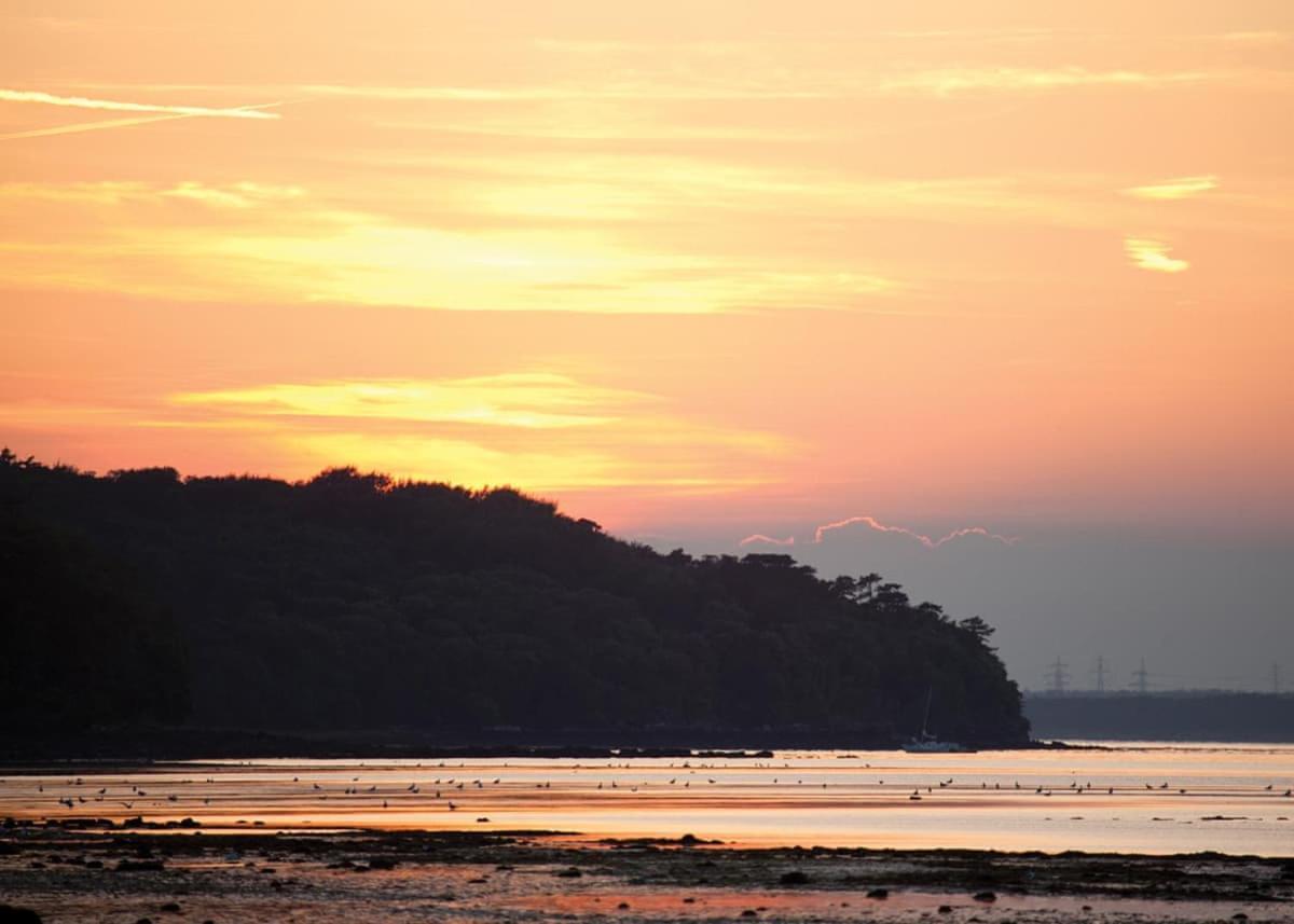 Woodside Coastal Retreat Hotel Fishbourne  ภายนอก รูปภาพ